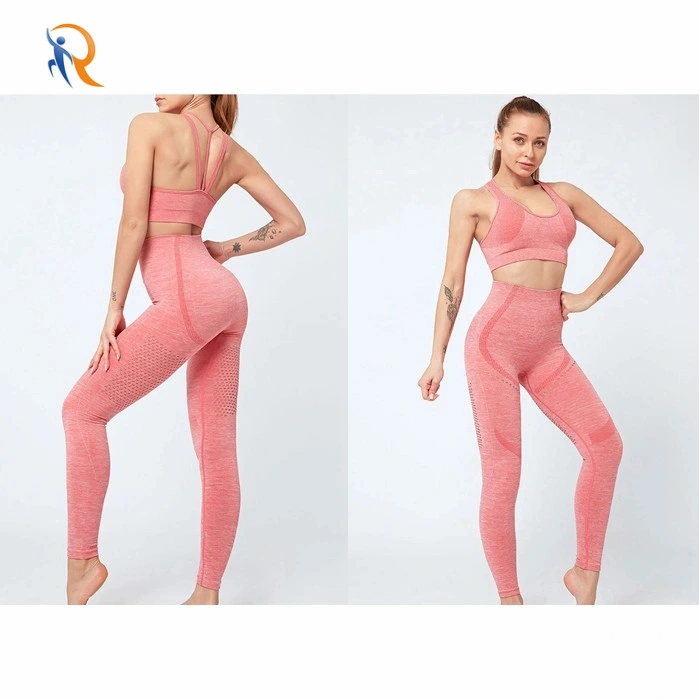 New Arrival Seamless Top and Tights Women Sports Set