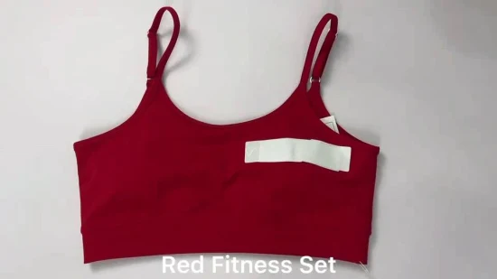 Activewear 복장 여성 운동복 요가 정장 2 조각 운동복 스포츠 브래지어와 반바지 세트 체육관 피트니스 세트